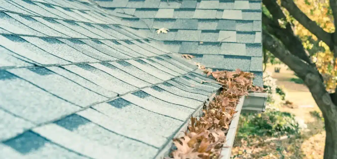 Seasonal Roof Maintenance Guide_ Protecting Your EPDM and Shingle Roofing Year-Round in Southington CT_